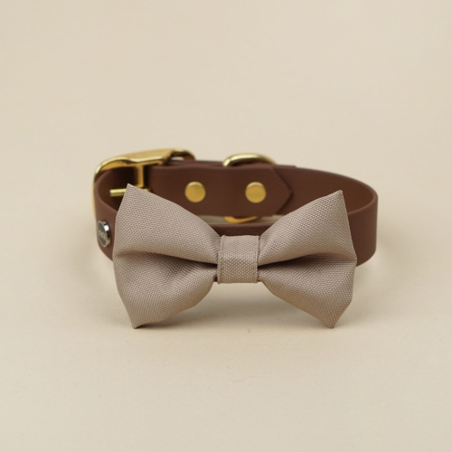 kokarda do obroży dla psa khaki zamocowana na obroży Bura