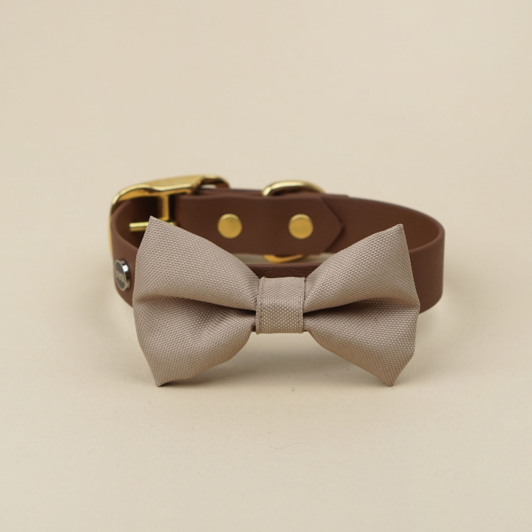kokarda do obroży dla psa khaki zamocowana na obroży Bura