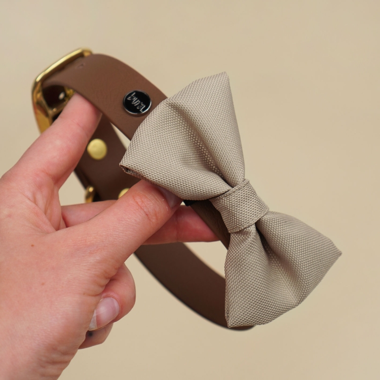 kokarda dla psa w kolorze khaki założona na obrożę