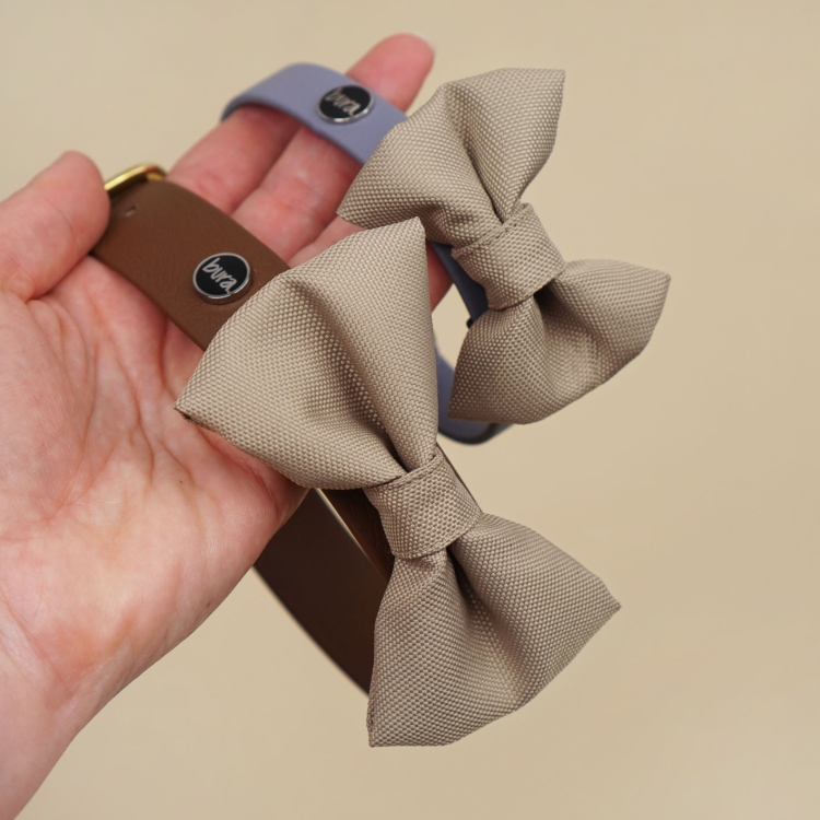 kokardka dla psa khaki zamocowana na obroży