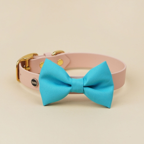 kokarda do obroży dla psa błękitna zamocowana na obroży Bura