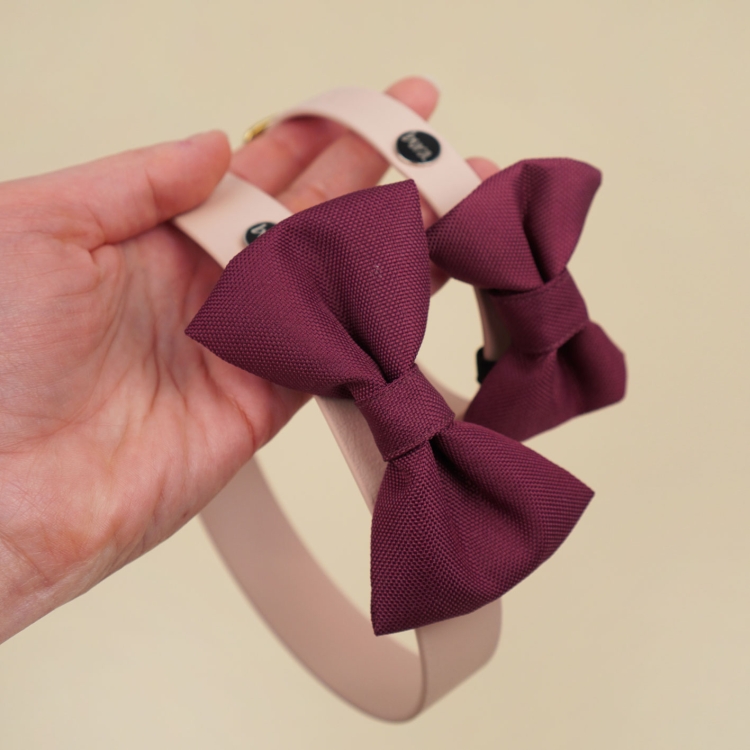 bordowa kokarda dla psa zamocowana na obroży