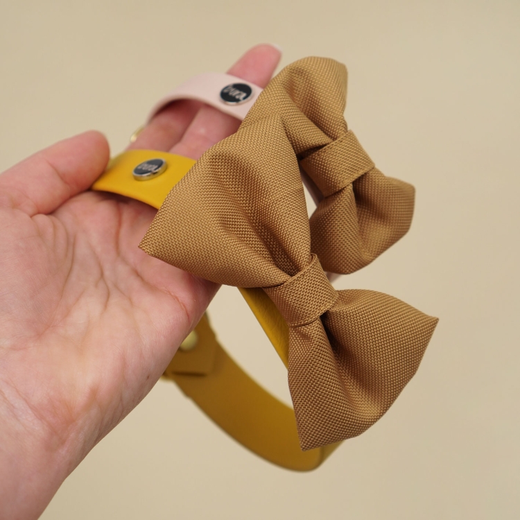 karmelowa kokardka dla psa na obroży