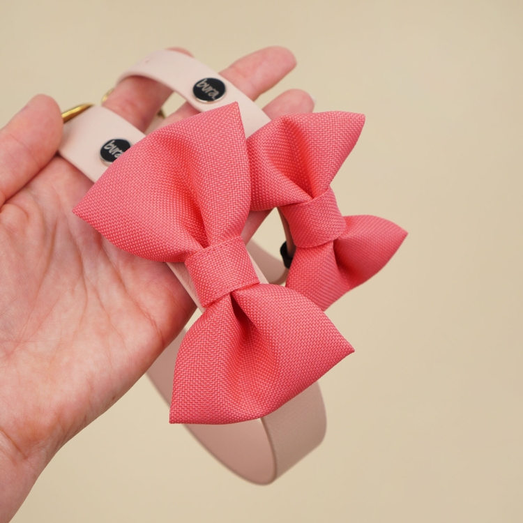 koralowa kokardka dla psa na obroży