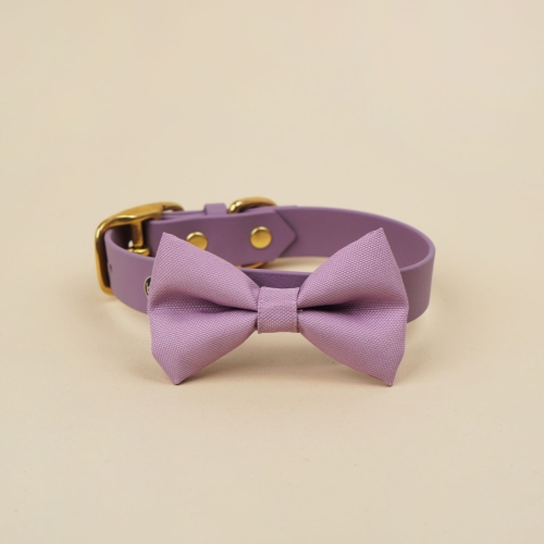 kokarda do obroży dla psa w kolorze liliowego różu zamocowana na obroży