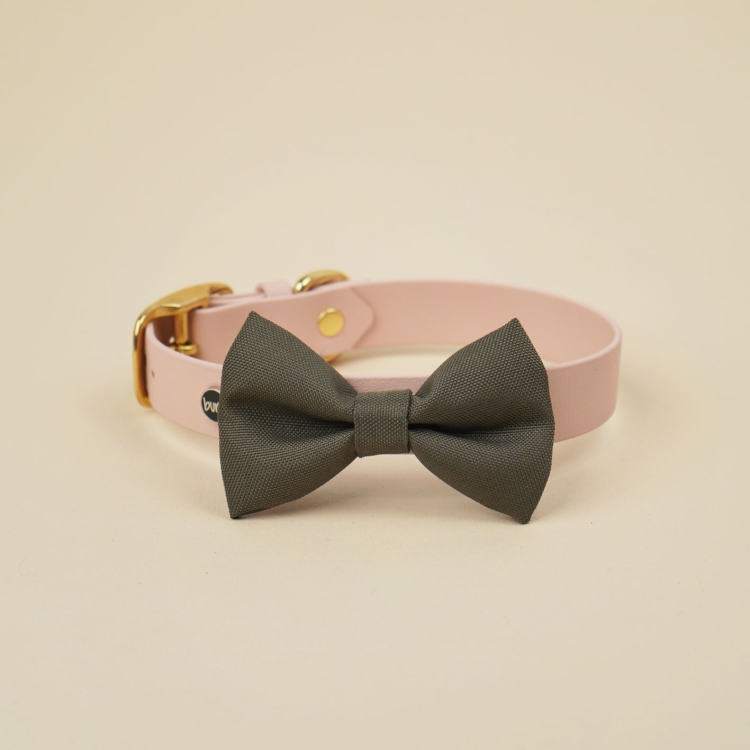 kokarda do obroży dla psa w kolorze militarnej zieleni zamocowana na obroży