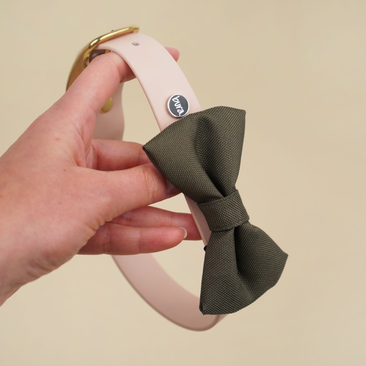 kokarda dla psa w kolorze militarna zieleń zamocowana na obroży