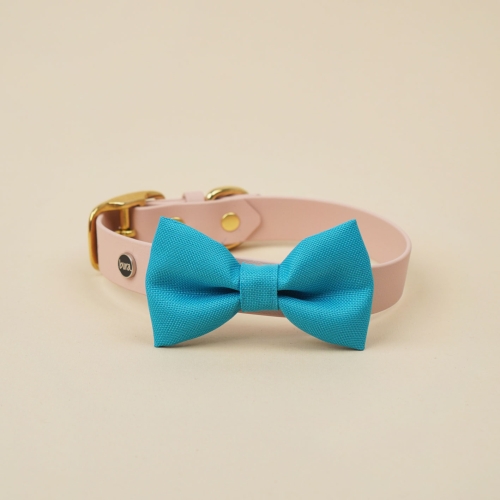 niebieska kokarda do obroży dla psa zamocowana na obroży