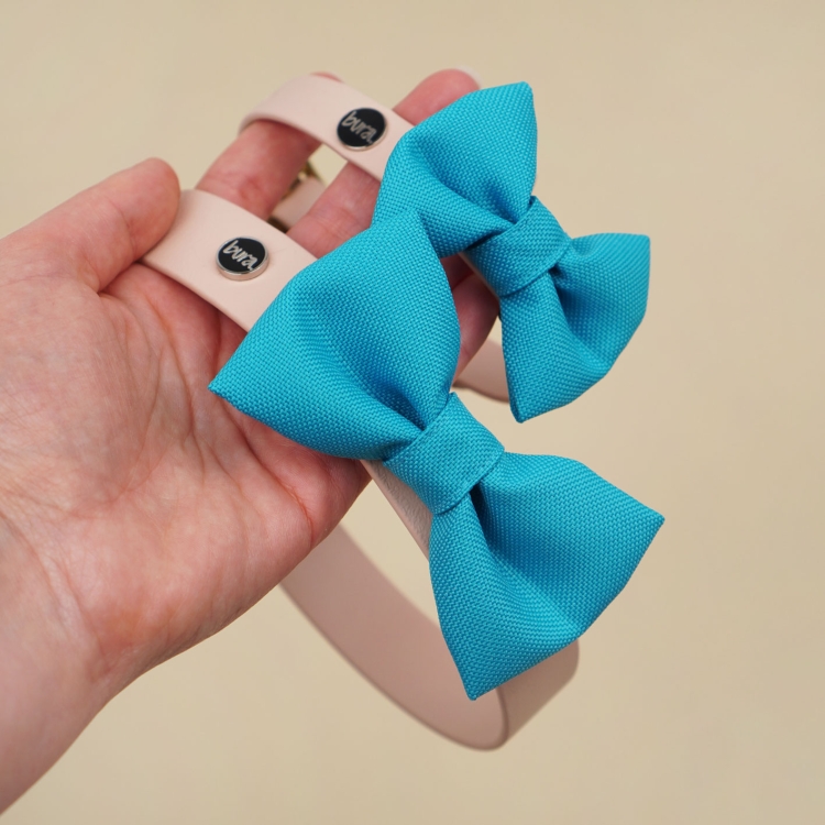 niebieska kokardka dla psa zamocowana na obroży