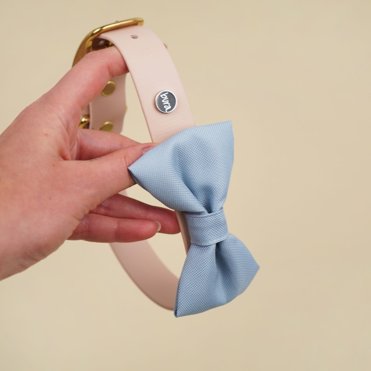 jasnoniebieska kokarda dla psa zamocowana na obroży