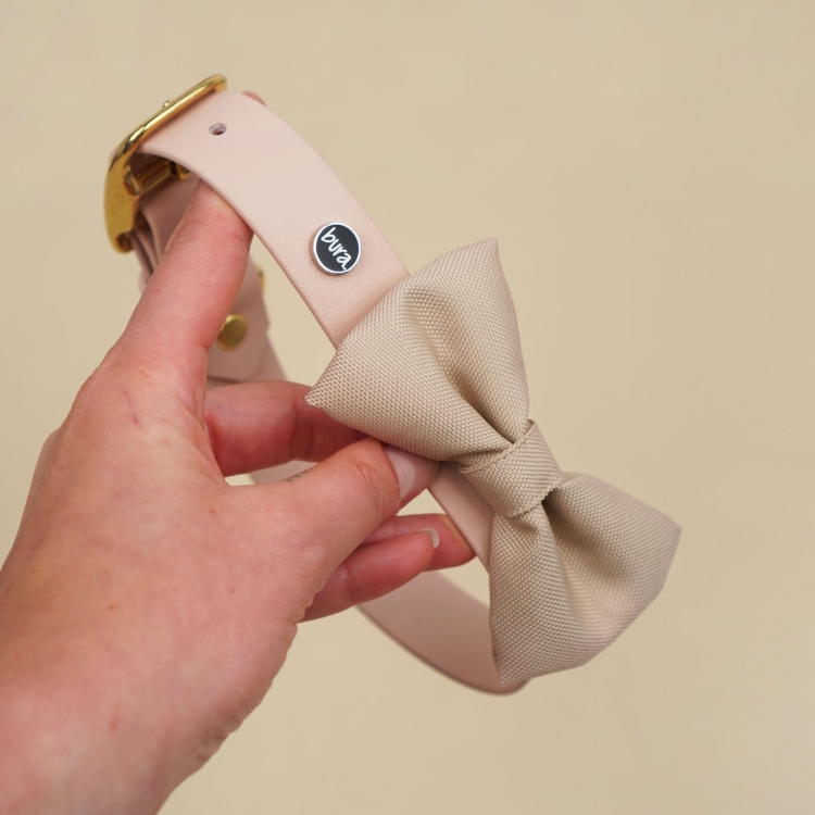 beżowa kokarda dla psa zamocowana na obroży