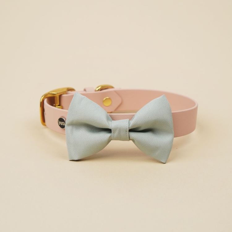 szałwiowa kokarda do obroży dla psa zamocowana na obroży