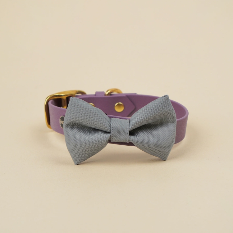 szara kokarda do obroży dla psa zamocowana na obroży