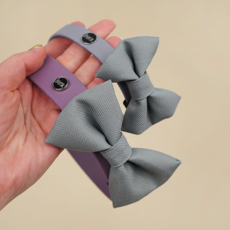 szara kokardka dla psa zamocowana na obroży