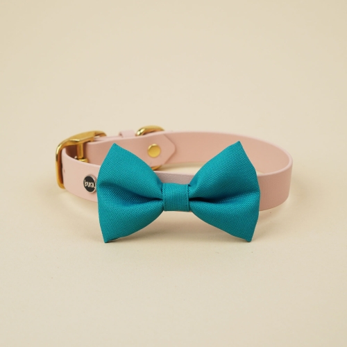 turkusowa kokarda do obroży dla psa zamocowana na obroży