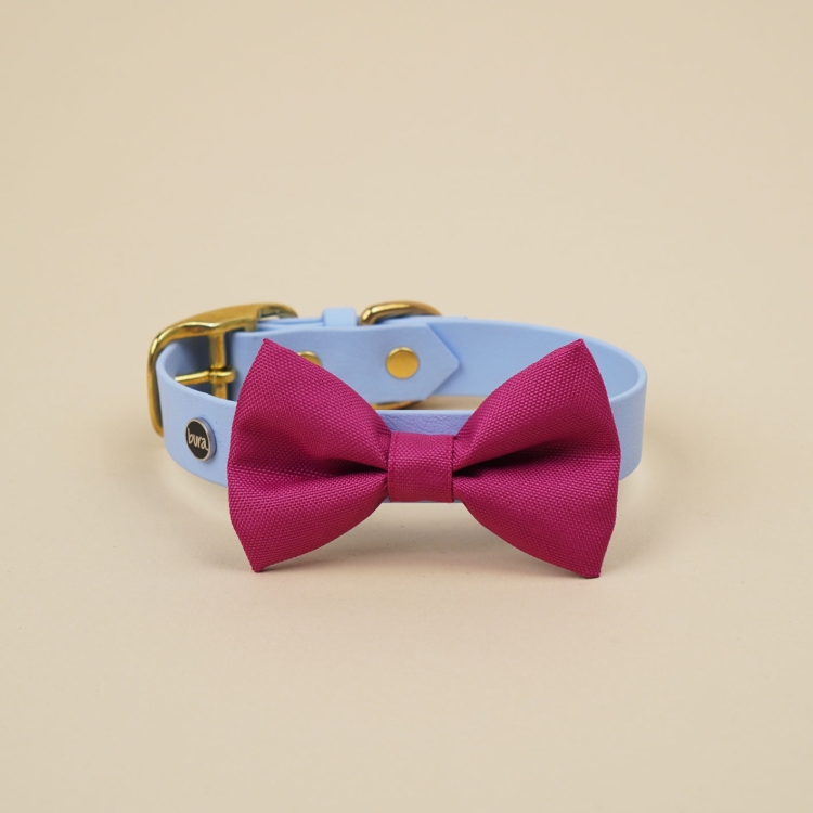 kokarda do obroży dla psa w kolorze fuksji na obroży Biothane Bura