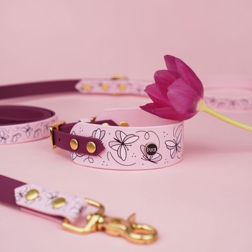 Obroża dla charta Motyle z Biothane na tle akcesoriów Bura.