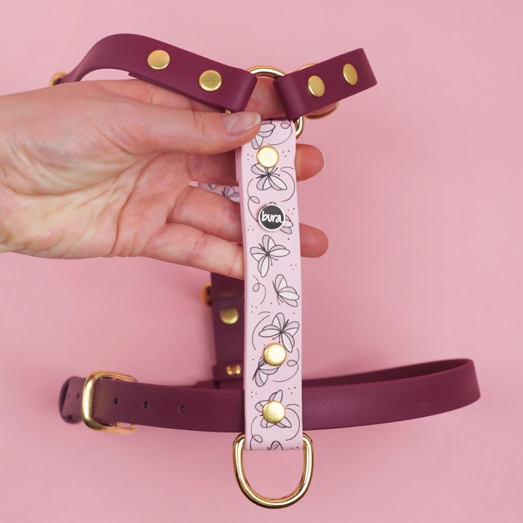 Detal szelek dla psa we wzorze Motyle z przednim panelem.