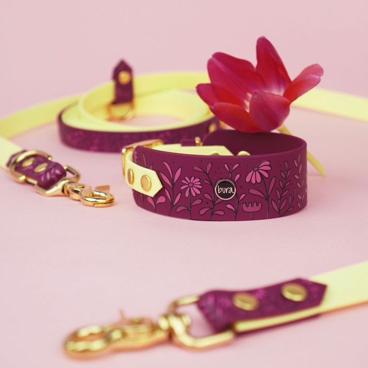 Obroża dla charta Łąka na tle smyczy i akcesoriów z tej samej kolekcji.