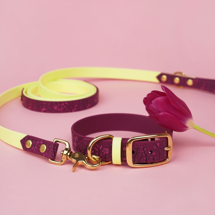 Obroża dla psa Łąka na tle smyczy i akcesoriów z tej samej kolekcji.