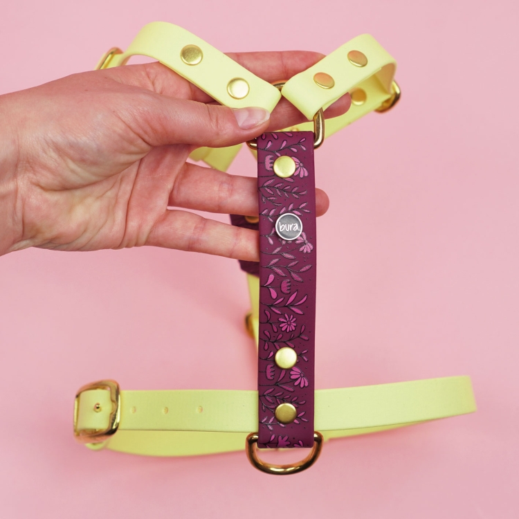 Detal szelek guard dla psa we wzorze Łąka z przednim panelem.