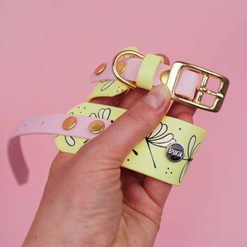 Zbliżenie klamry obroży dla charta we wzór Ważki z Biothane