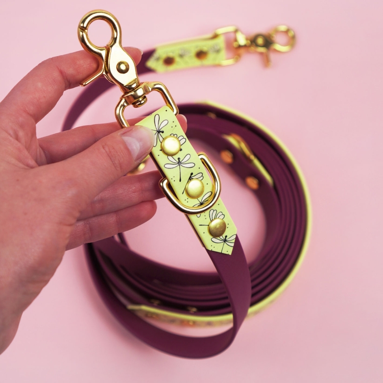 Zbliżenie karabińczyka w smyczy przepinanej dla psa wzór Ważki