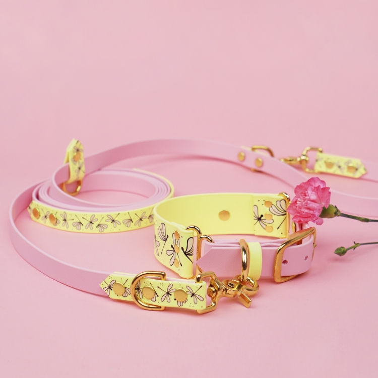 Smycz przepinana dla psa wzór Ważki w komplecie z obrożą na różowym tle