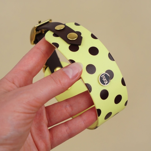 Wodoodporna obroża dla charta z Biothane w pastelowym żółtym kolorze, zbliżenie na detal i złote okucia.