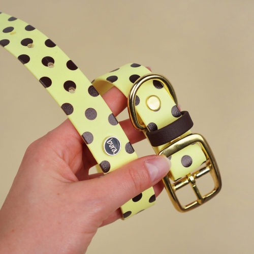 Wodoodporna obroża z Biothane dla psa w pastelowym żółtym kolorze, zbliżenie na detal i złote okucia.