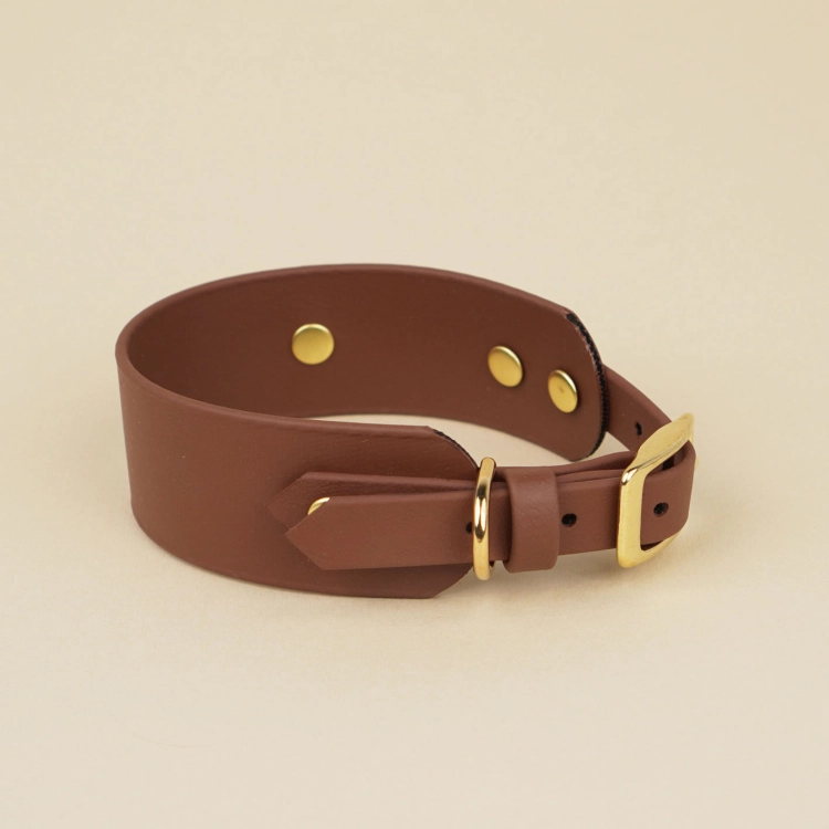Obroża dla charta z Biothane w brązowym kolorze ze złotą klamrą i półkółkiem
