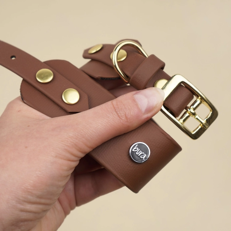 Szeroka obroża dla charta z Biothane – detal złotej klamry, półkółka i brązowej taśmy