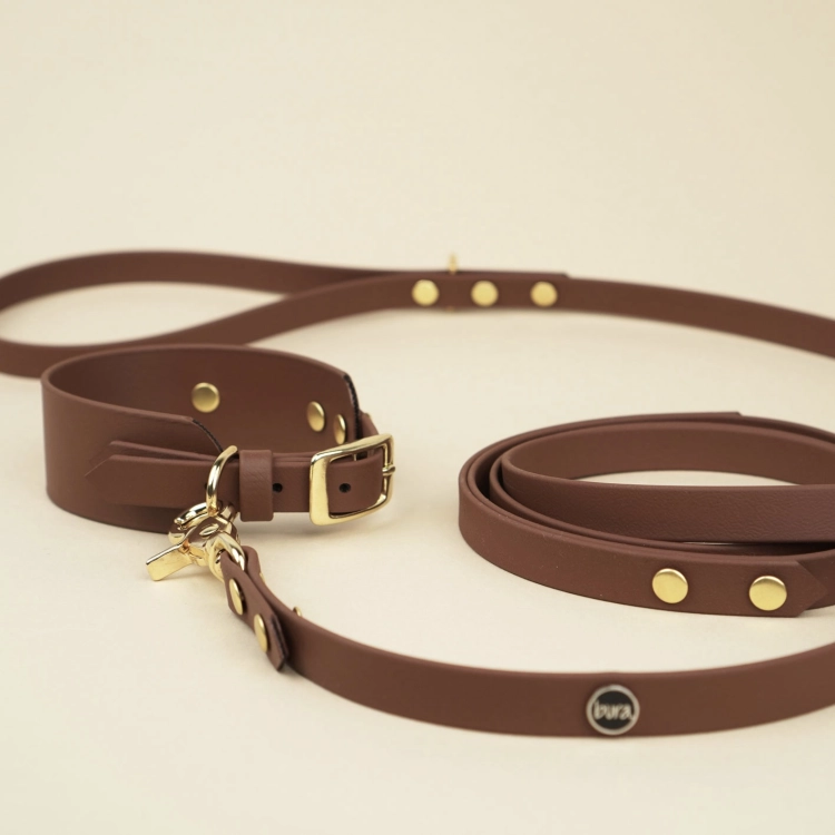 Brązowa smycz miejska i obroża z Biothane – zestaw spacerowy PiesNUT