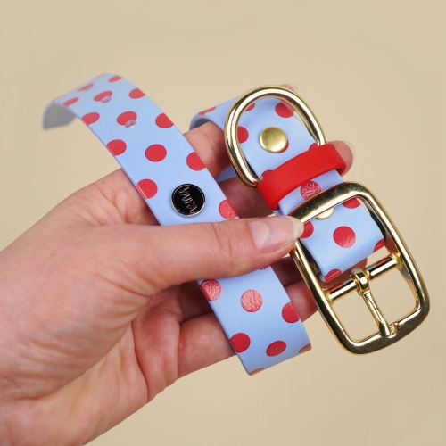 Detal obroży dla psa w czerwone kropki z biothane – złota sprzączka i D-ring, wodoodporna obroża Bura Polka DOGS