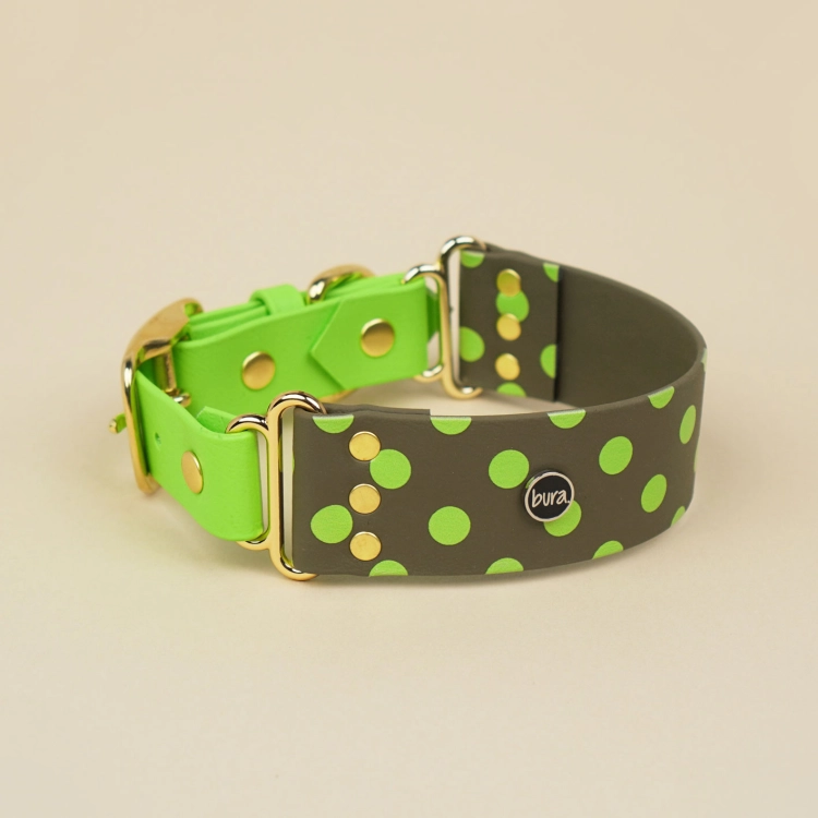 Szeroka obroża dla psa z biothane w limonkowe kropki na khaki – złota sprzączka i D-ring, kolekcja Polka DOGS, Bura
