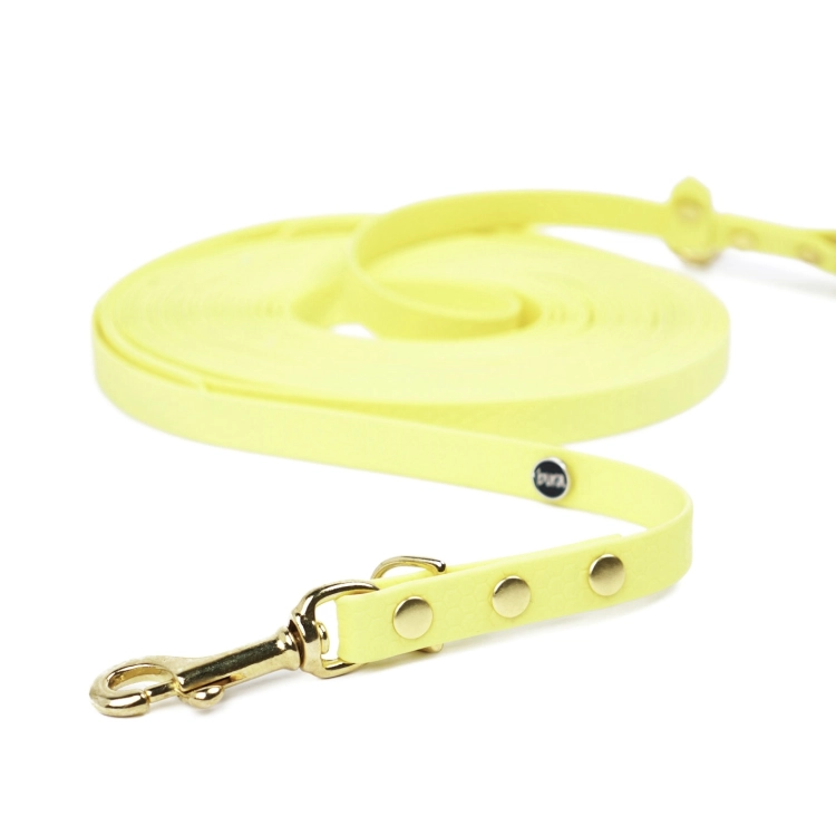 Zbliżenie na linkę treningową z taśmy HEXA dla psa w masełkowym żółtym kolorze z jasnymi złotymi okuciami