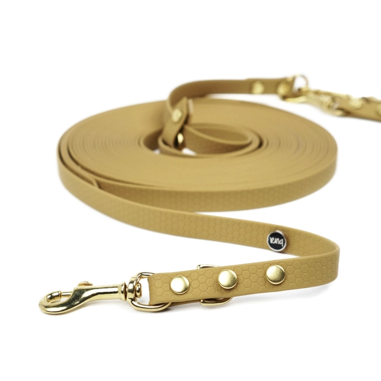 Zbliżenie na złotą linkę treningową z taśmy HEXA dla psa z jasnymi złotymi okuciami
