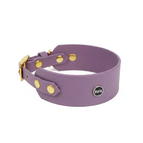 Szeroka obroża dla charta biothane w kolorze mauve ze złotymi nitami i logo bura – białe tło