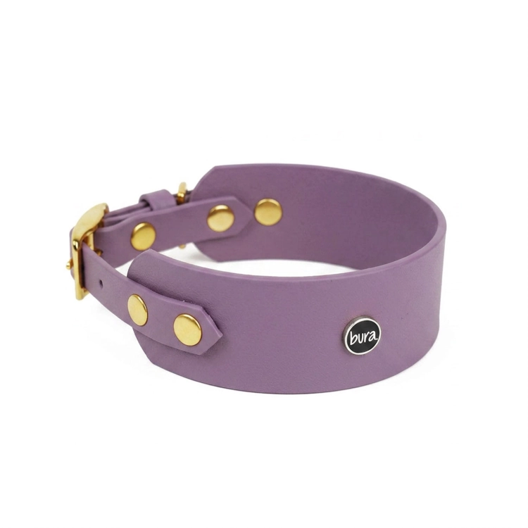 Szeroka obroża dla charta biothane w kolorze mauve ze złotymi nitami i logo bura – białe tło