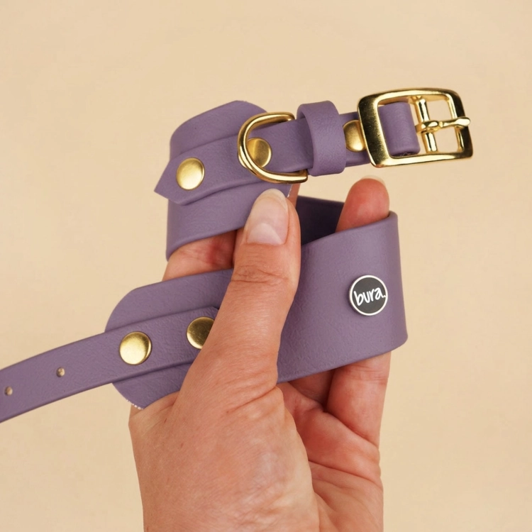 Obroża dla charta z biotkane w kolorze mauve – złote okucia, logo bura, trzymana w dłoni