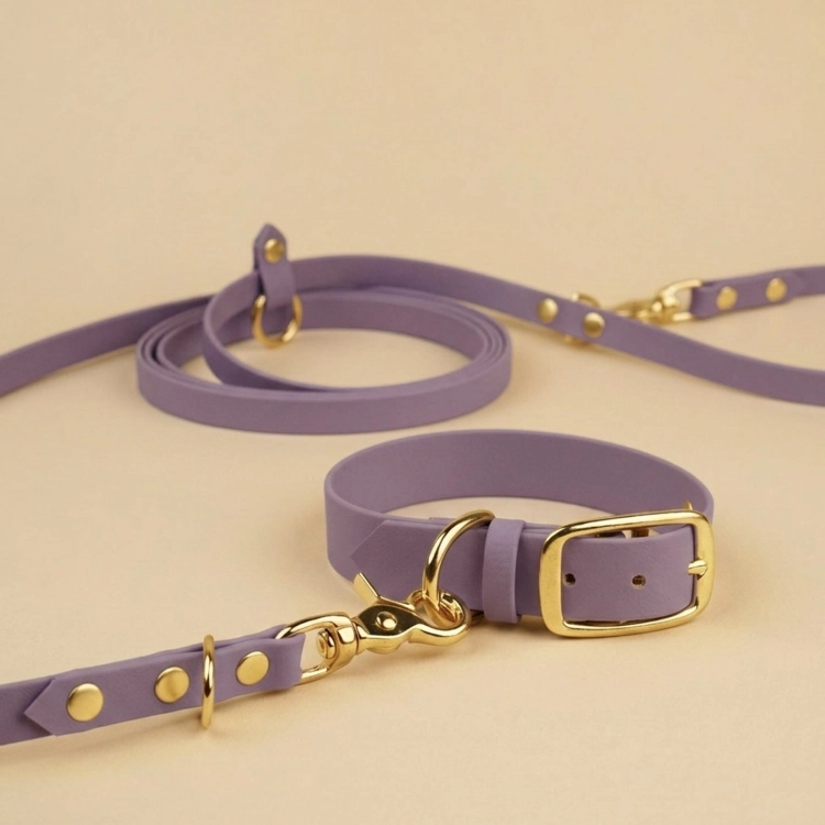 Zestaw obroża i smycz dla psa biothane mauve ze złotymi karabińczykami i okuciami – bura