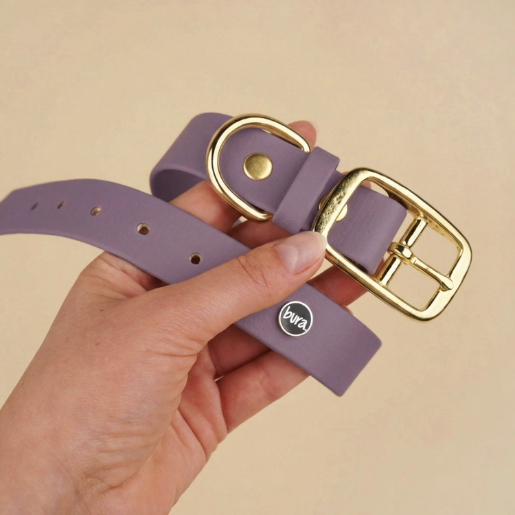 Obroża dla psa biothane mauve ze złotą klamrą i logo bura trzymana w dłoni