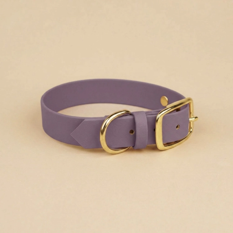 Obroża dla psa biothane w kolorze mauve zgaszony fiolet ze złotymi okuciami – widok z boku