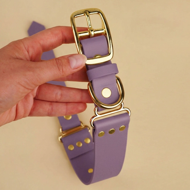 Detal szerokiej obroży dla psa biothane mauve – złota klamra i D-ring, widok z bliska