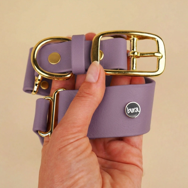 Szeroka wodoodporna obroża dla psa biothane mauve ze złotą klamrą trzymana w dłoni – bura