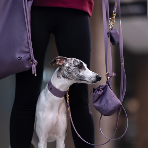 Whippet na smyczy hands free biothane mauve bura – zestaw matchy z saszetką i plecakiem