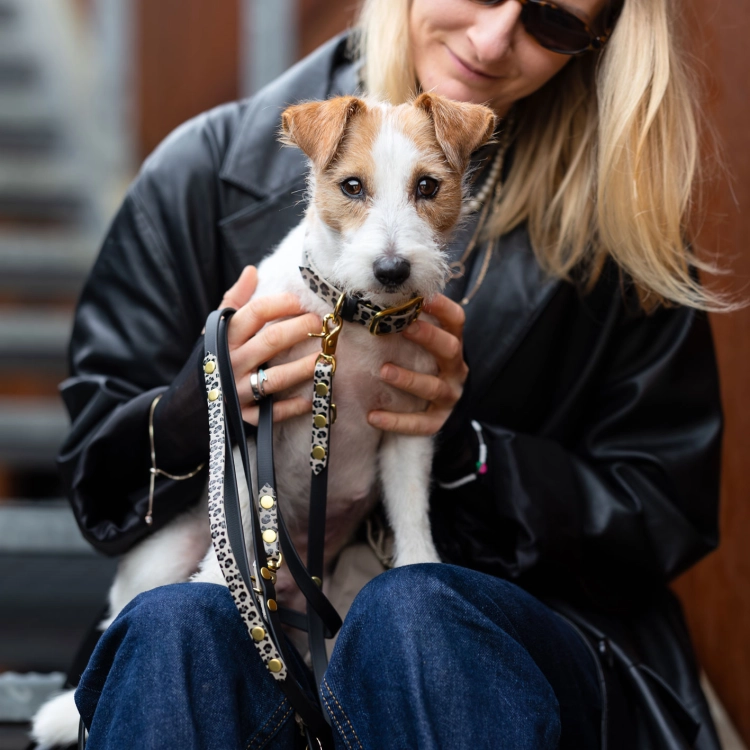 obroża biothane panterka taupe jack russell terrier miasto – Bura