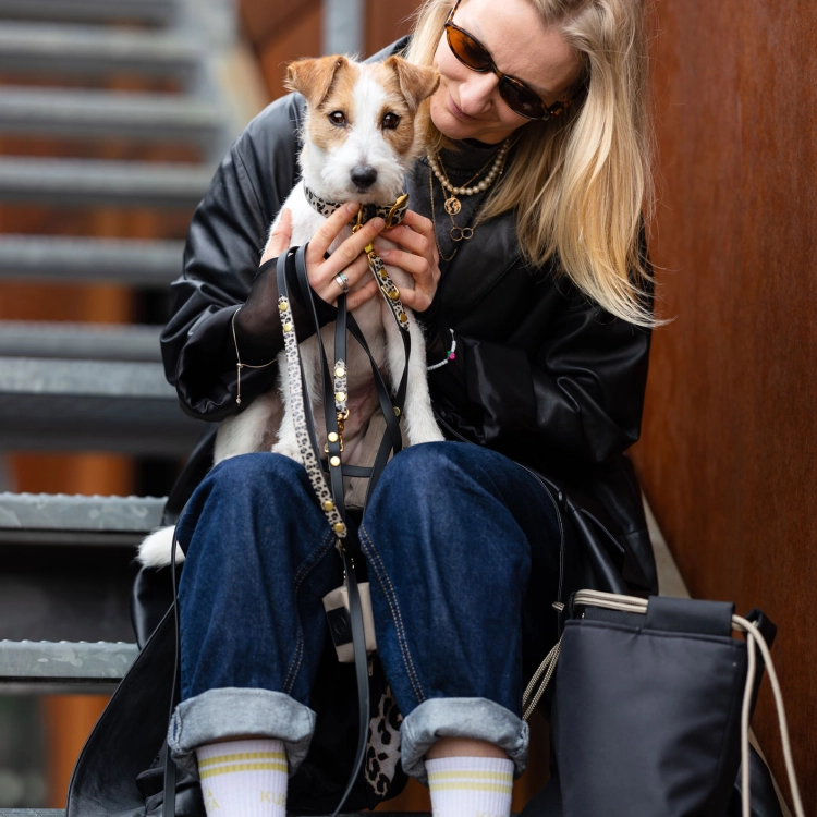 smycz biothane panterka taupe jack russell opiekun miasto – Bura