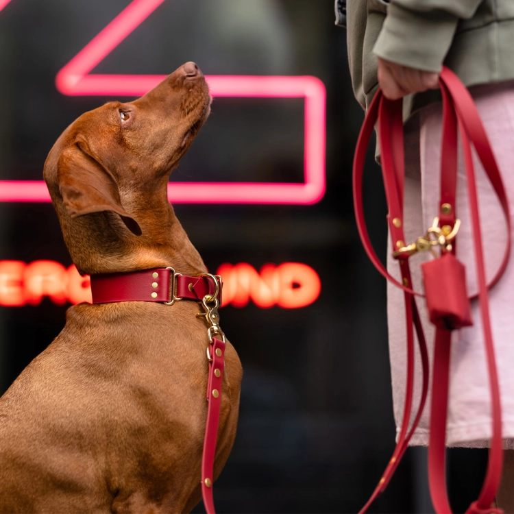etui na worki na kupy czerwone przy smyczy vizsla neon złote okucia bura