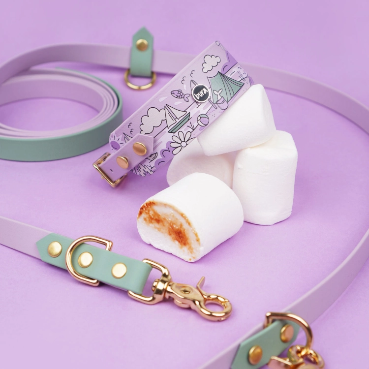 obroża chartowa i smycz biothane wzór Mazury liliowy miętowy złote okucia lifestyle pianki marshmallow Bura